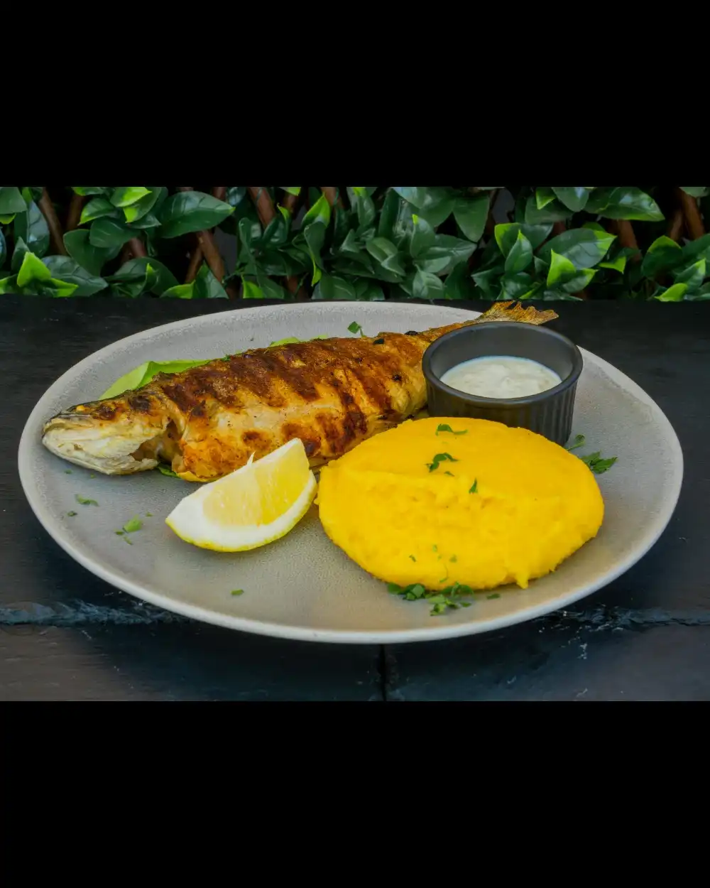Păstrăv la Grill — Fructe de Mare — Tony's Eat & Drink — Ingrediente: păstrăv, mămăligă, mujdei de usturoi
